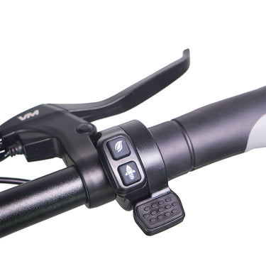 emove roadrunner seated electric scooter throttle view